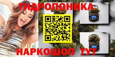a pvp Обь