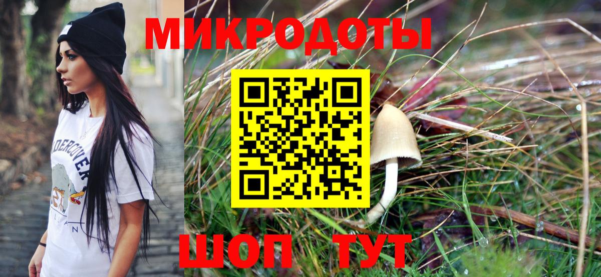 Советская Гавань  Псилоцибиновые грибы мицелий  Вход с VPN  где купить   Галлюциногенные грибы ЛСД 